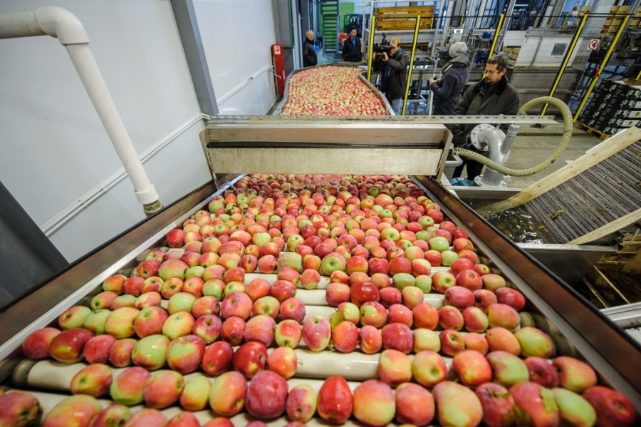 Быстровозводимый цех для переработки яблок
