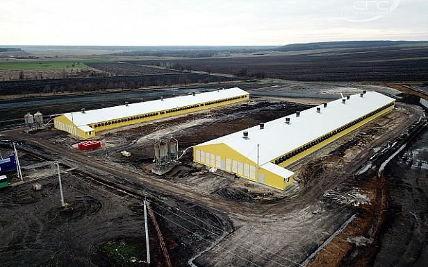 Строительство производственных корпусов для Третьяковской птицефабрики